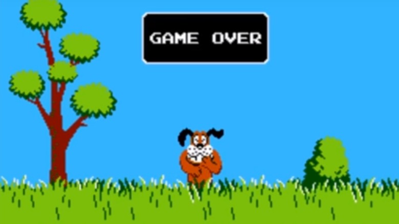 duck hunt