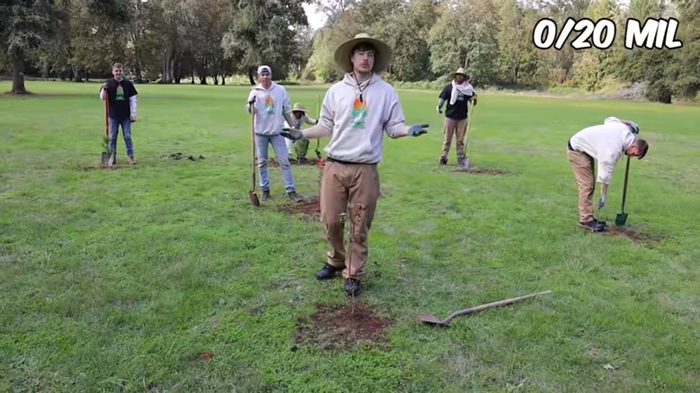 MrBeast planting trees