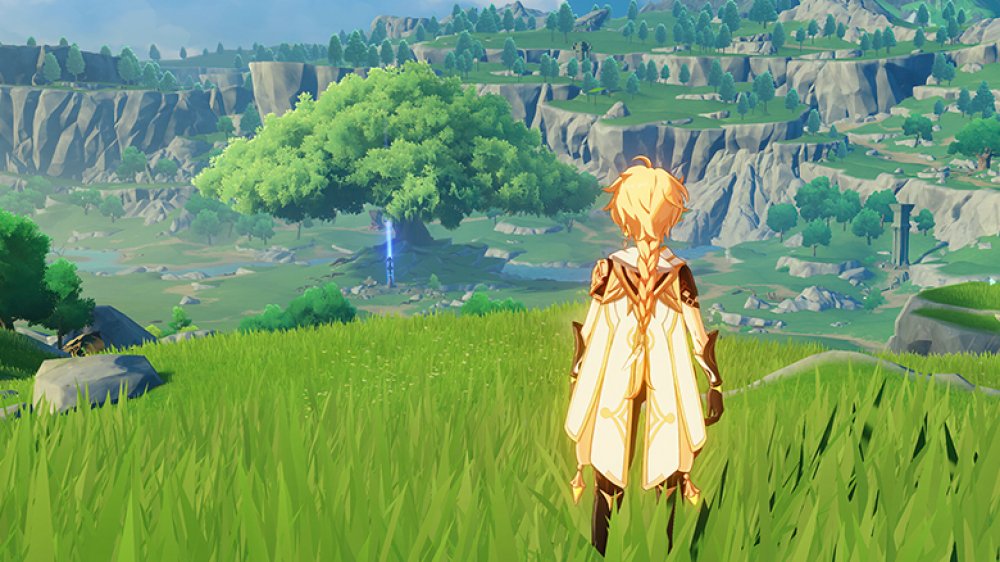 The male Traveler gazes at a lush landscape