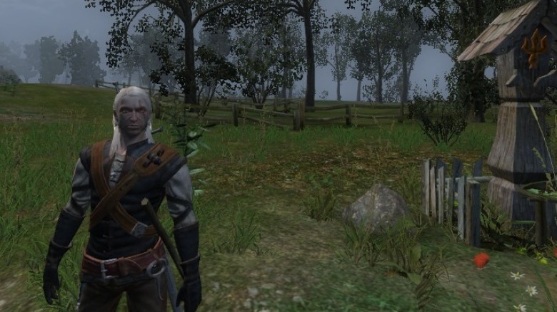 Witcher 1 Geralt graphics