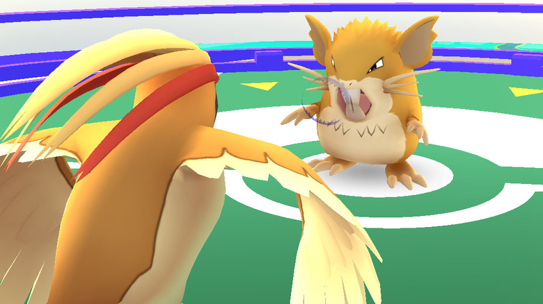 Pidgeot and Raticate battle