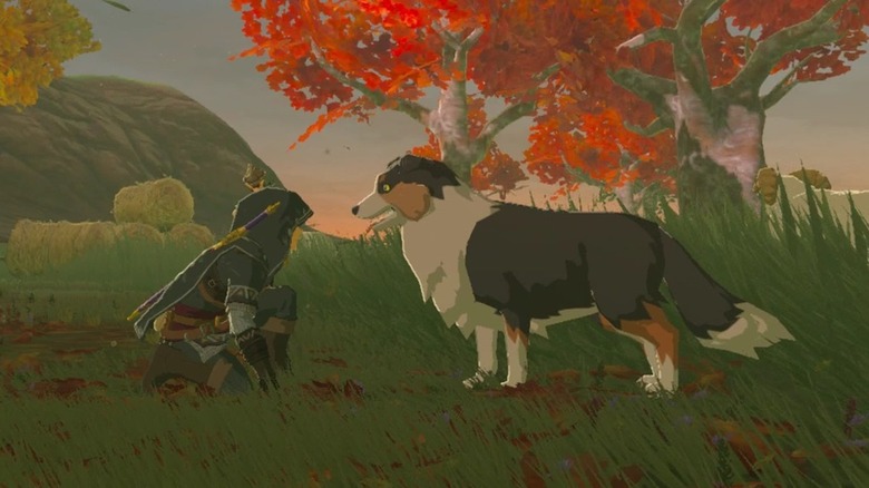 Link kneeling in front of dog in Tears of the Kingdom