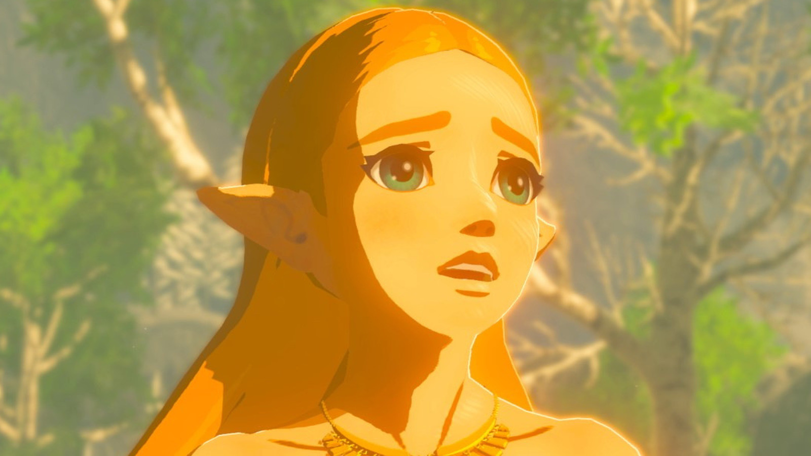 This Breath Of The Wild Run Took Years To Complete