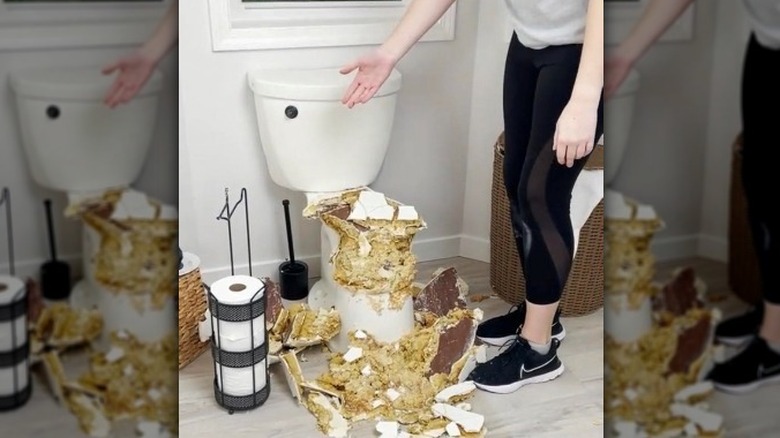 Destroyed toilet cake