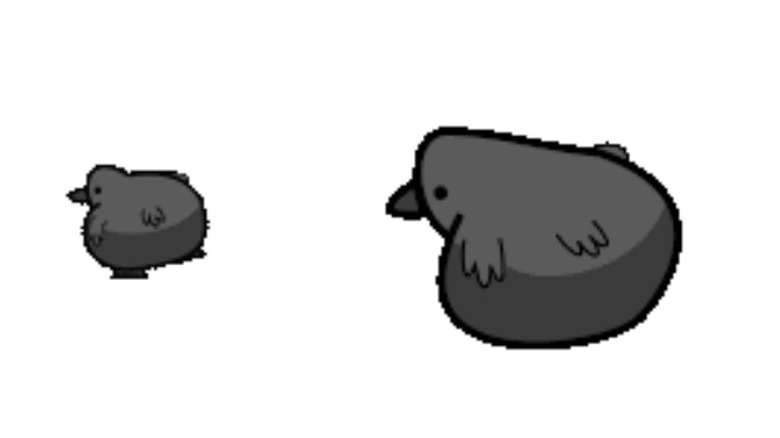 Bird emote