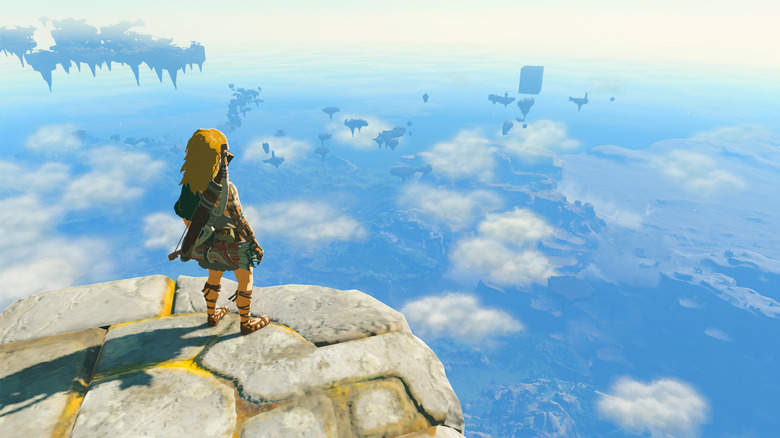 Link looks over cliff
