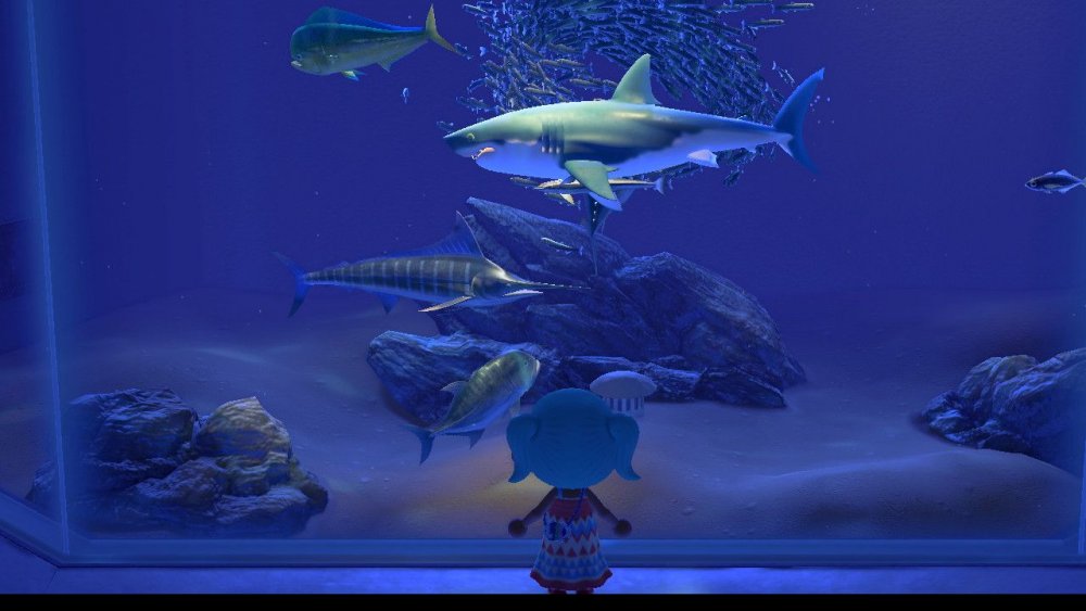 shark animal crossing new horizons