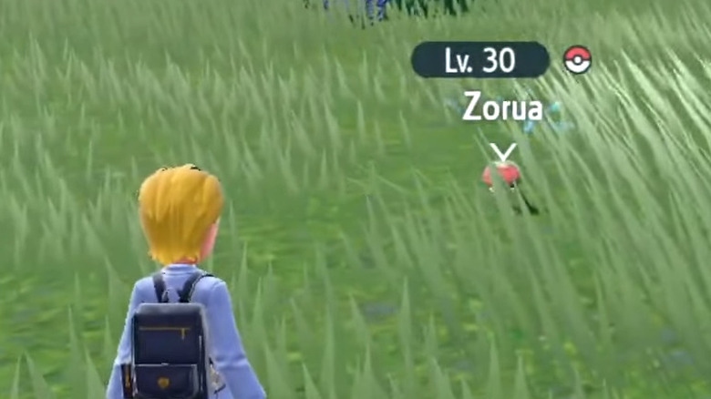 Quick Tips looking at Zorua disguised as a mushroom