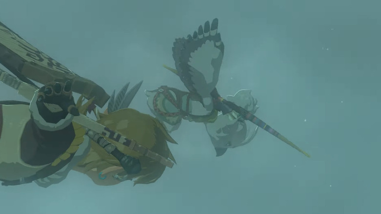 Tulin flies with Link