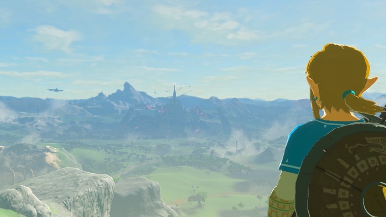 Link staring at horizon