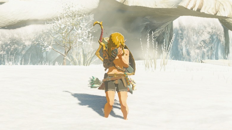 Link shivering in the snow