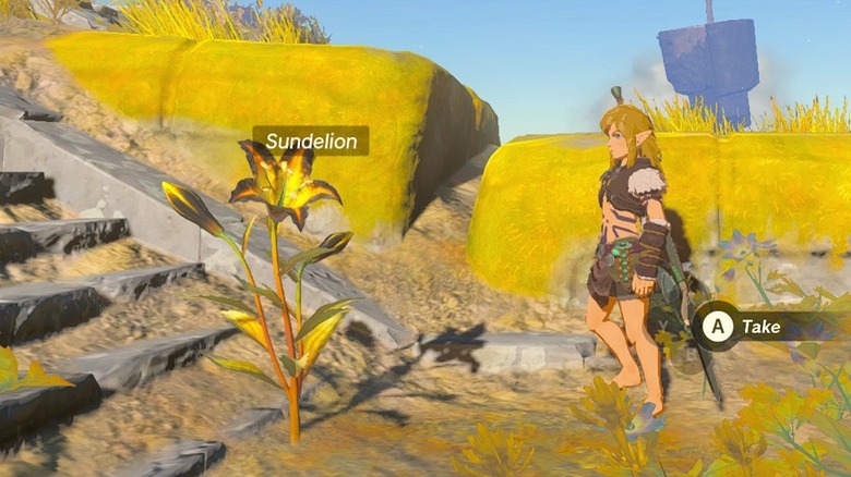 Link finding Sundelion