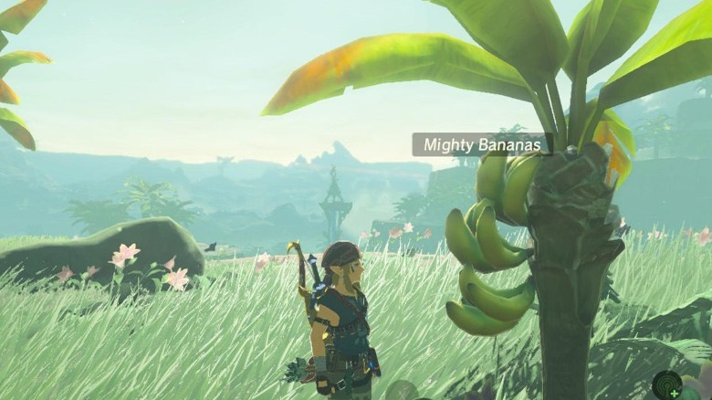 Link finding Mighty Bananas