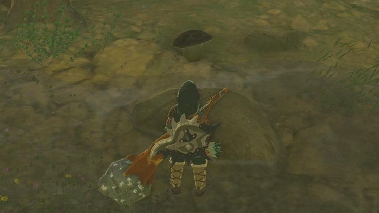 Link finding Ironshroom