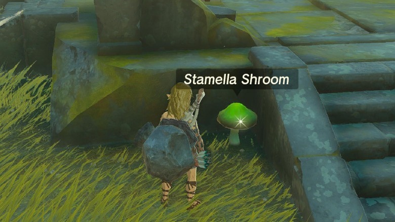 Link finding Stamella Shroom